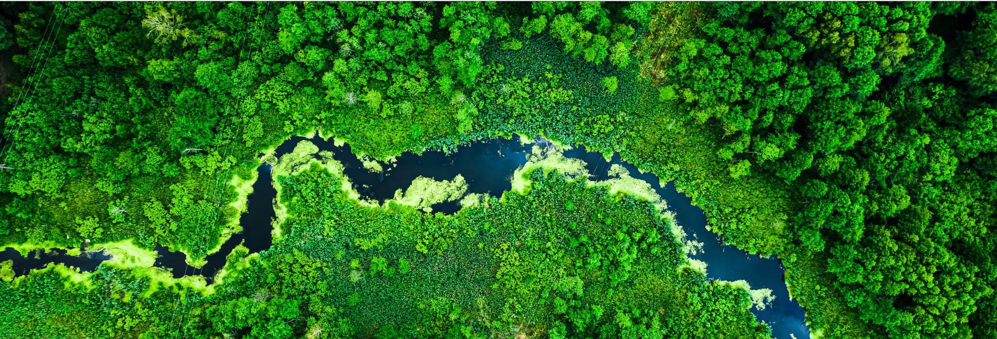 Vernacare completes NHS Evergreen Sustainable Supplier Assessment ...