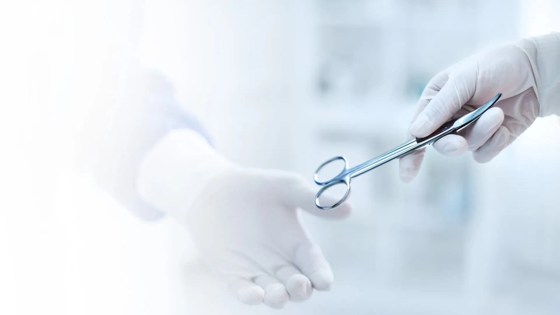 Scissors Image
